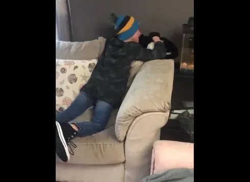 最棒的新年礼物！失而复得被通知已死亡的爱猫 | 猫