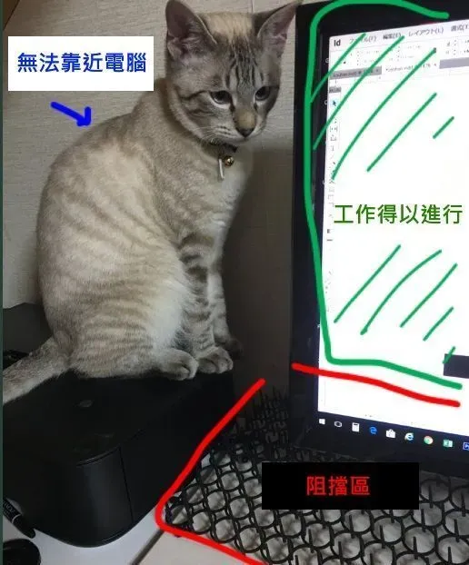 猫奴被主子扰乱工作出大招 成功让猫咪气得牙痒痒 | 猫