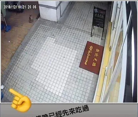 浪浪臭脸坐门口堵人讨罐 小V脸逐渐变成馒头脸 | 猫