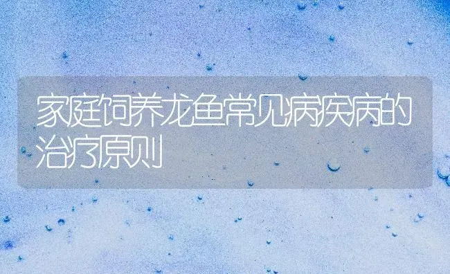 家庭饲养龙鱼常见病疾病的治疗原则 | 宠物病虫害防治