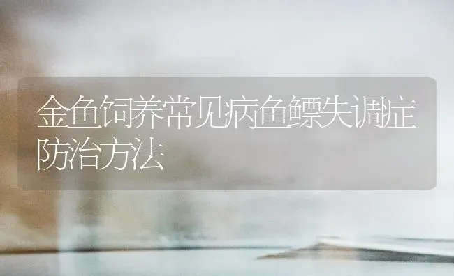 金鱼饲养常见病鱼鳔失调症防治方法 | 宠物病虫害防治
