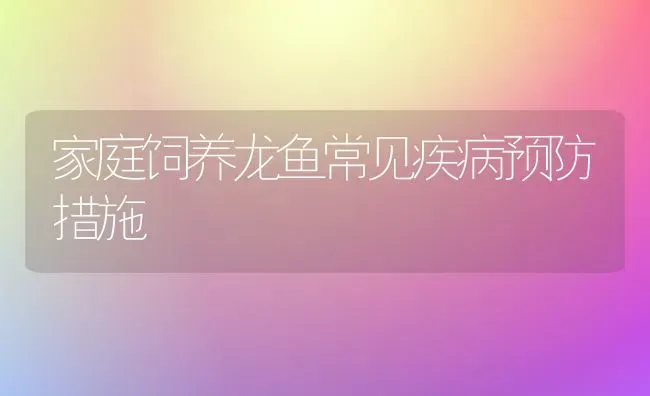 家庭饲养龙鱼常见疾病预防措施 | 宠物病虫害防治