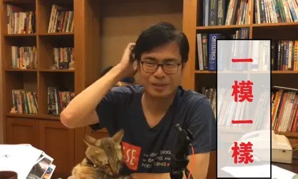 朕也想亮亮相! 爱猫乱入直播超会刷存在感 | 猫