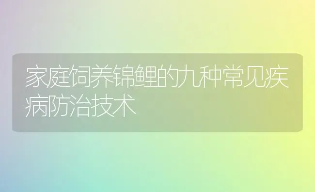 家庭饲养锦鲤的九种常见疾病防治技术 | 宠物病虫害防治