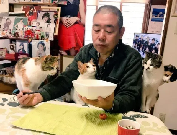 吃个饭压力好大！日本住持每天被爱猫包围 | 猫