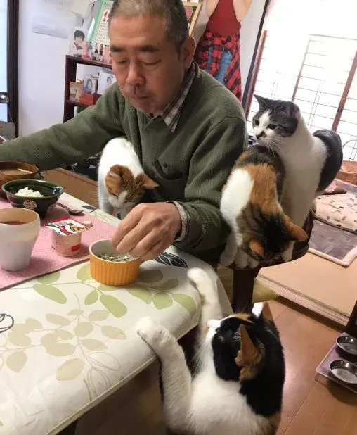 吃个饭压力好大！日本住持每天被爱猫包围 | 猫