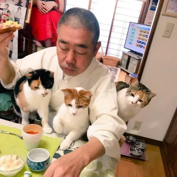 吃个饭压力好大！日本住持每天被爱猫包围 | 猫
