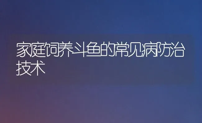 家庭饲养斗鱼的常见病防治技术 | 宠物病虫害防治