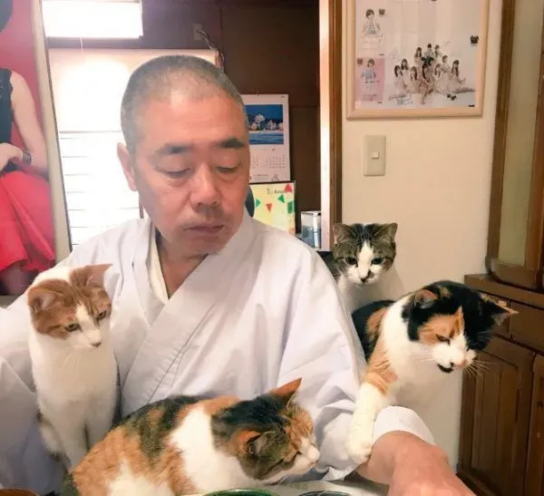 吃个饭压力好大！日本住持每天被爱猫包围 | 猫