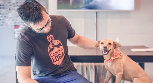 塞奶高手汪找把拔讨拍 根本是地表最强小三！ | 狗