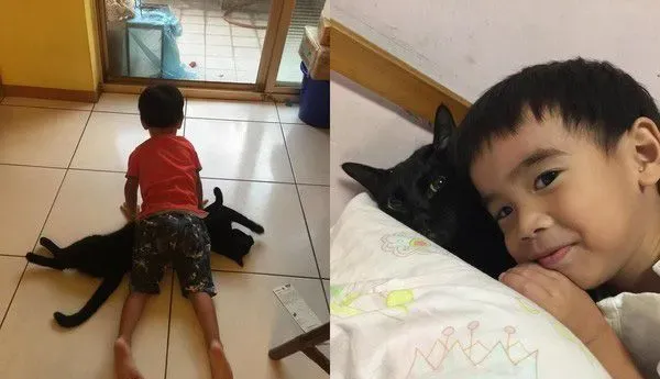 后脑勺好闻吗? 萌娃抱黑猫后脑勺狂吸 | 猫