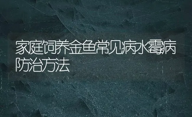 家庭饲养金鱼常见病水霉病防治方法 | 宠物病虫害防治