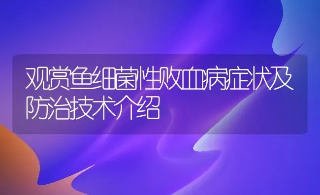 观赏鱼细菌性败血病症状及防治技术介绍 | 宠物病虫害防治