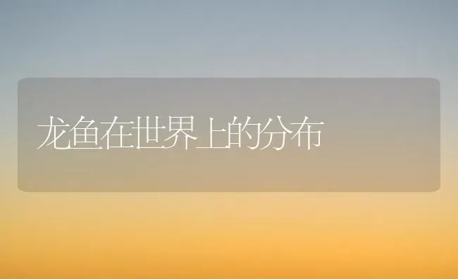 龙鱼在世界上的分布 | 鱼类宠物