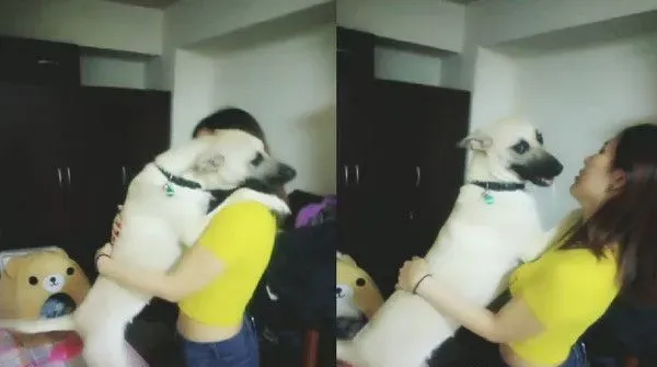 汪汪超爱妈咪又亲又抱 爸爸瞬间变边缘人 | 狗