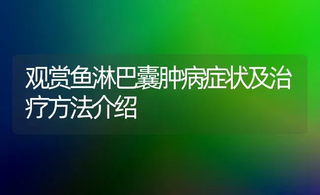 观赏鱼淋巴囊肿病症状及治疗方法介绍 | 宠物病虫害防治