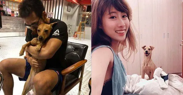 塞奶高手汪找把拔讨拍 根本是地表最强小三！ | 狗