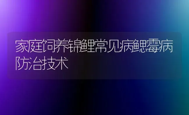 家庭饲养锦鲤常见病鳃霉病防治技术 | 宠物病虫害防治