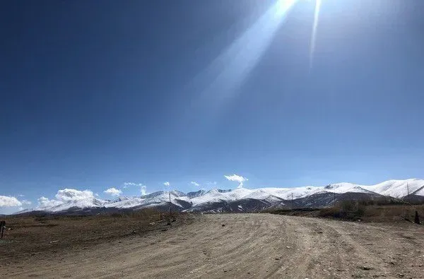 要是再不走一定走不了 旅途偶遇亲人猫咪不舍离开 | 猫