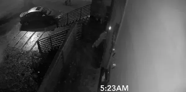 贪玩猫咪被反锁门外一夜 经9小时惊魂记超无助 | 猫