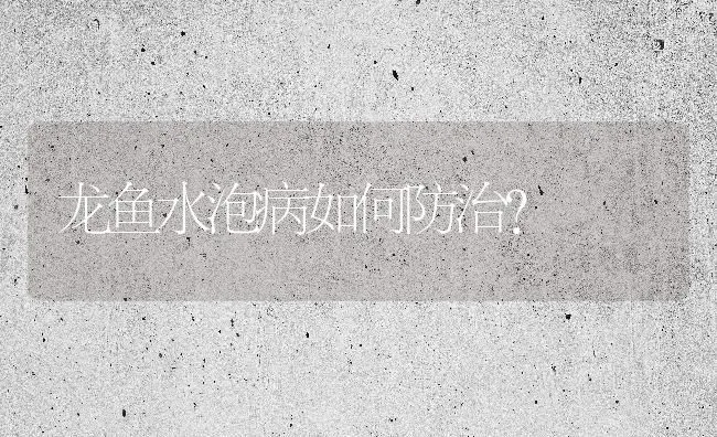 龙鱼水泡病如何防治？ | 宠物病虫害防治