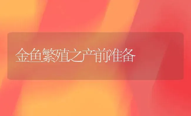 金鱼繁殖之产前准备 | 鱼类宠物