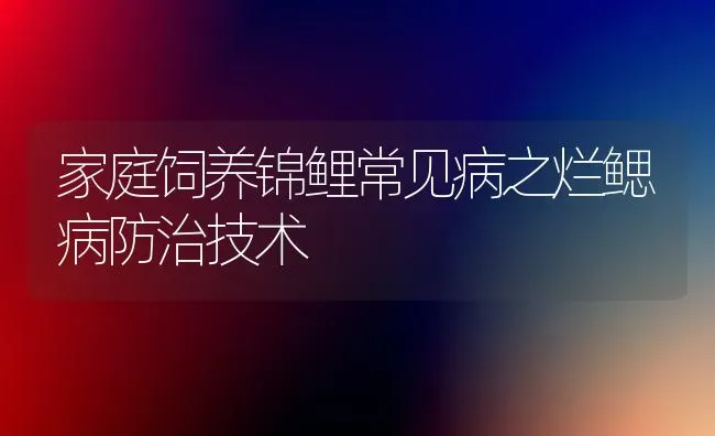 家庭饲养锦鲤常见病之烂鳃病防治技术 | 宠物病虫害防治