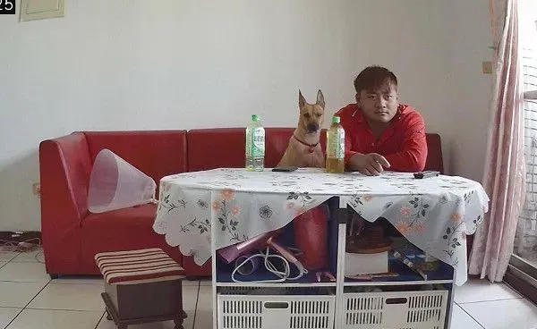 见爱犬豪迈睡姿躺在沙发 忍不住直呼想回家一起躺! | 狗