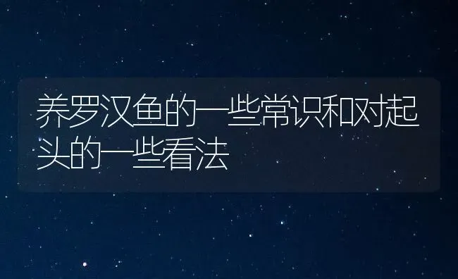 养罗汉鱼的一些常识和对起头的一些看法 | 鱼类宠物