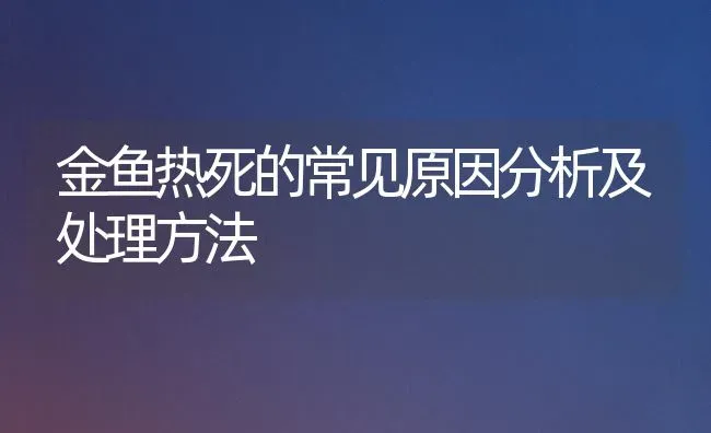 金鱼热死的常见原因分析及处理方法 | 鱼类宠物