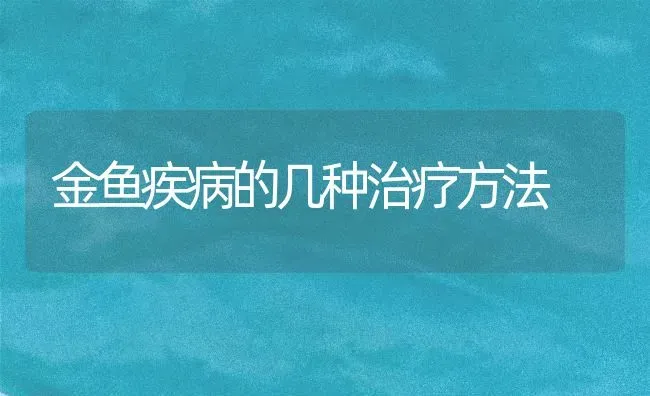 金鱼疾病的几种治疗方法 | 宠物病虫害防治