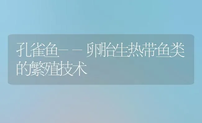 孔雀鱼--卵胎生热带鱼类的繁殖技术 | 鱼类宠物