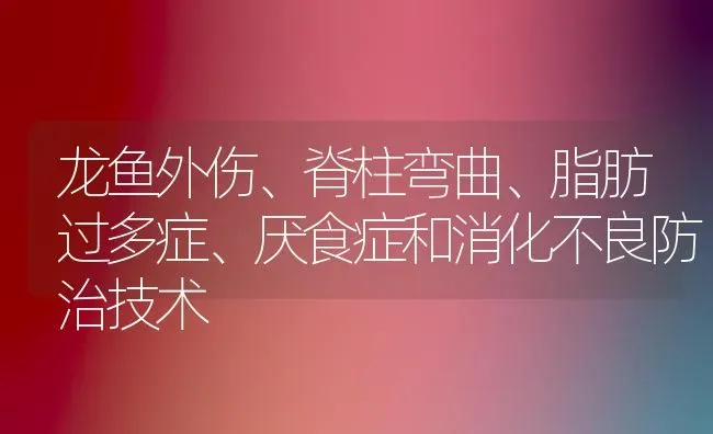 龙鱼外伤、脊柱弯曲、脂肪过多症、厌食症和消化不良防治技术 | 鱼类宠物