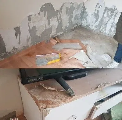 南韩发生虐狗悲剧 狗被关空屋惨遭活活饿死
