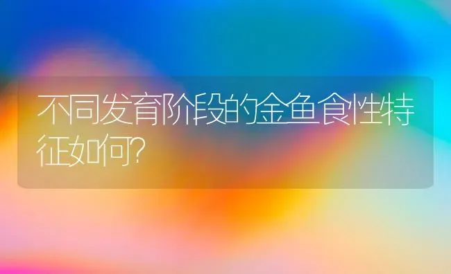 不同发育阶段的金鱼食性特征如何？ | 鱼类宠物