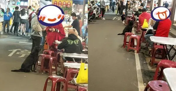 黑狗沿桌讨饭超专业 吃完一轮再重头来过 | 狗