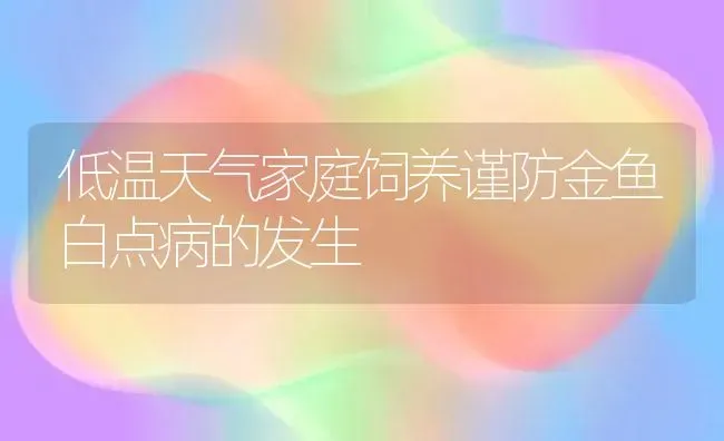 低温天气家庭饲养谨防金鱼白点病的发生 | 宠物病虫害防治