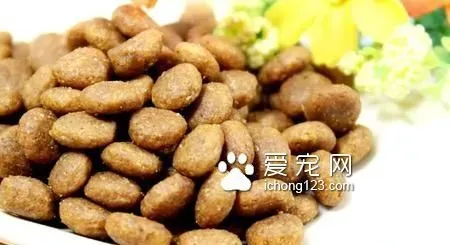 幼犬狗粮要泡吗 狗狗长牙后不需泡了喂食 | 狗粮
