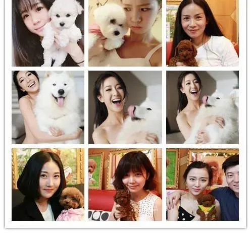 小鹿犬|小鹿犬最近严重脱毛应如何缓解