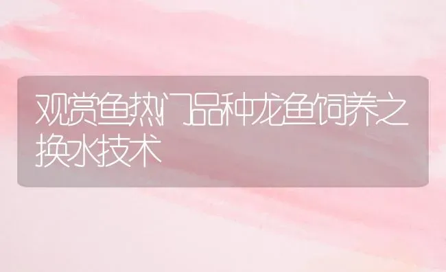 观赏鱼热门品种龙鱼饲养之换水技术 | 鱼类宠物