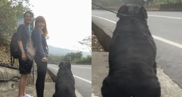 汪陪粉丝等公车 马麻怎么叫就是酷酷的不肯回头 | 狗