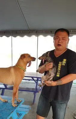 浪汪下颚断裂腐烂 连吃进一颗饲料都是难事