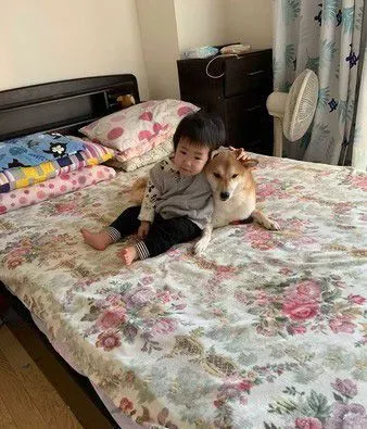 世界上最温馨的画面 阿柴塞2孩中间睡觉
