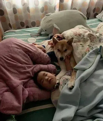世界上最温馨的画面 阿柴塞2孩中间睡觉 | 狗