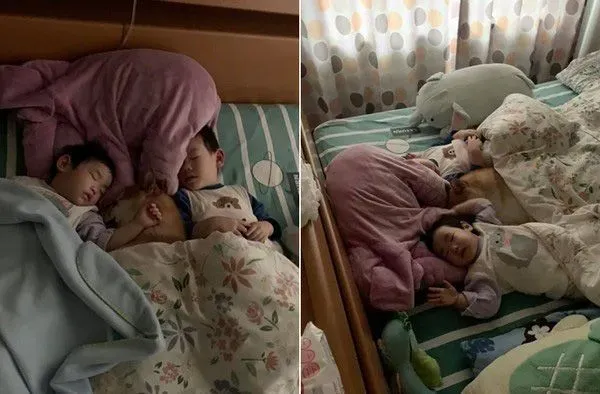 世界上最温馨的画面 阿柴塞2孩中间睡觉 | 狗