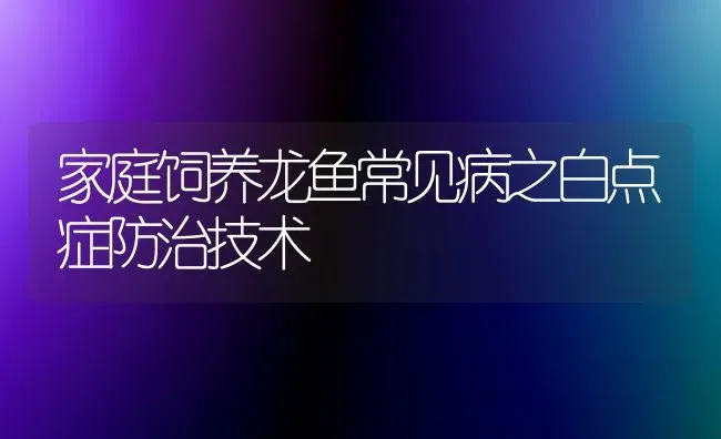 家庭饲养龙鱼常见病之白点症防治技术 | 宠物病虫害防治