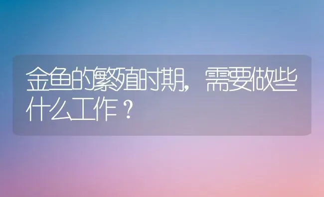 金鱼的繁殖时期，需要做些什么工作？ | 鱼类宠物