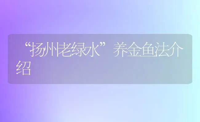 “扬州老绿水”养金鱼法介绍 | 鱼类宠物