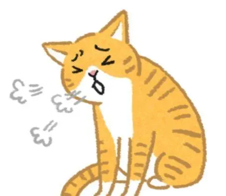 毛孩嘴巴怪怪的？可能食道卡异物要当心！ | 猫 狗