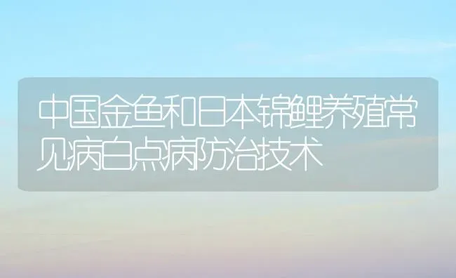 中国金鱼和日本锦鲤养殖常见病白点病防治技术 | 宠物病虫害防治